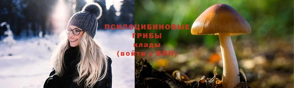 PSILOCYBIN Алексеевка