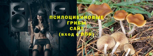 PSILOCYBIN Алексеевка