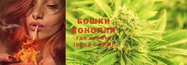 PSILOCYBIN Абаза