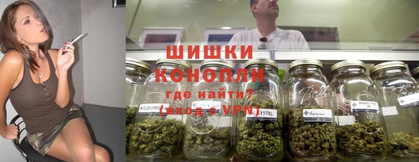 PSILOCYBIN Алексеевка