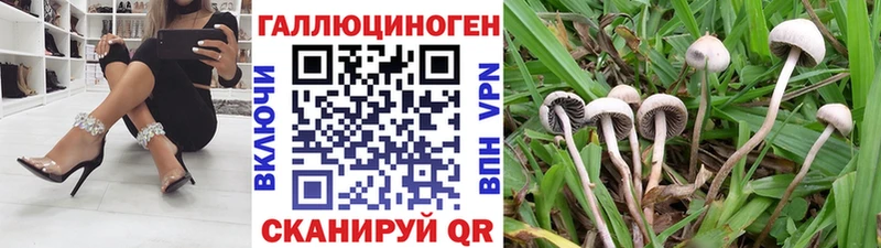Галлюциногенные грибы MAGIC MUSHROOMS  купить  цена  кракен ONION  Ухта 