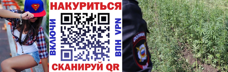 Каннабис OG Kush  хочу   Ухта 